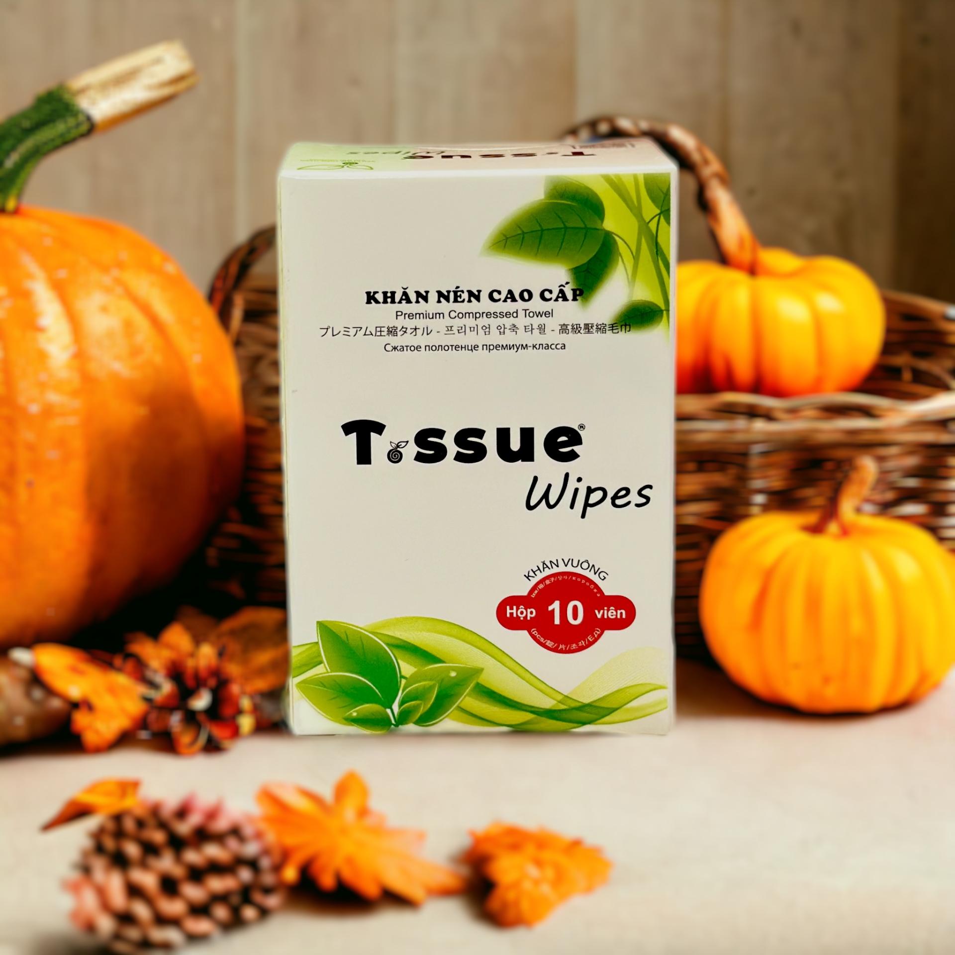 Khăn nén du lịch KT 24x30cm